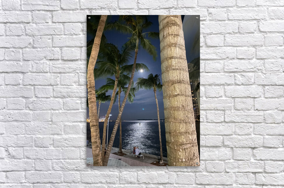 Acrylic Print