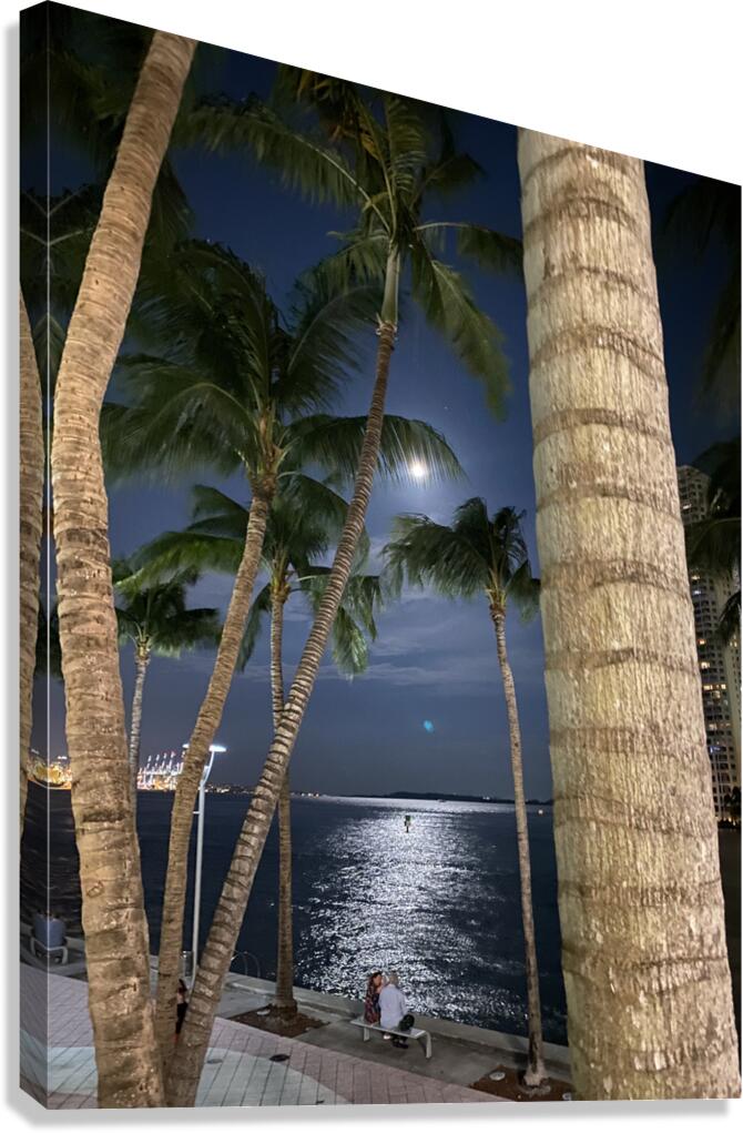 Giclée Stretched Canvas Print