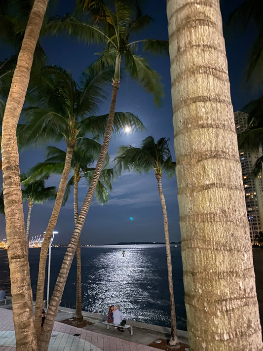 BAYFRONT MIAMI 01