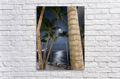 Acrylic Print